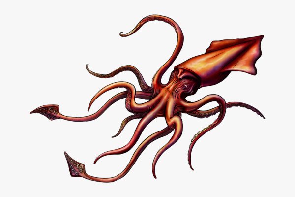 Kraken dark