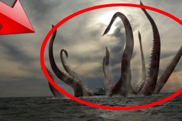 Kraken это