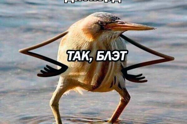 Кракен войти