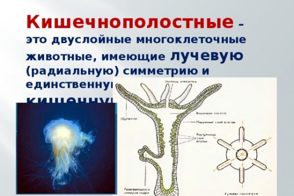 Кракен даркнет рабочая