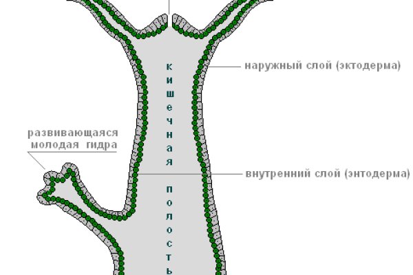 Актуальная ссылка на кракен kraken