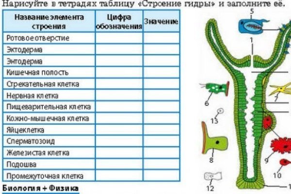 Kraken зеркало krakens13 at