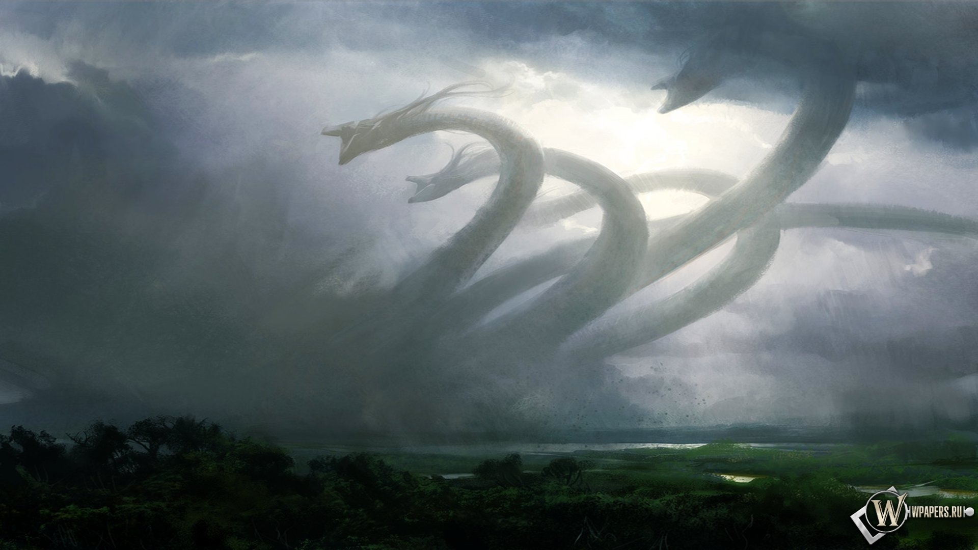 Kraken17 at
